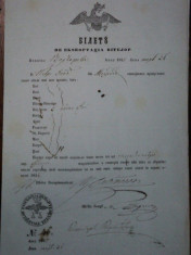 Mehadia, bilet export vite pentru negustorul Petre Dachei? prin punctul Borgorova, 1855 foto