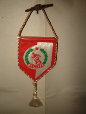 Fanion Budapest Honved foto