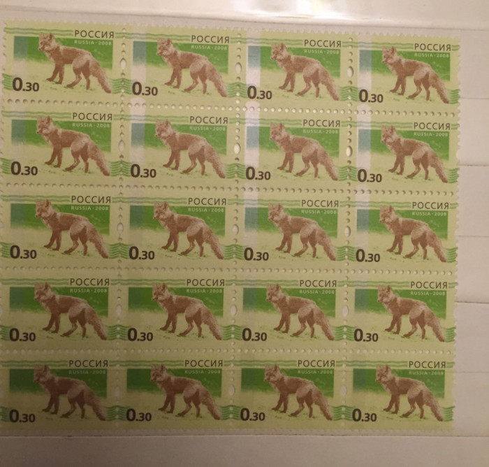 2008 Rusia coala ANIMALE VULPE nominal 30 kop