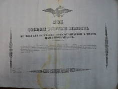 Dobrotesti, Diploma Domneasca pentru boier de neam Marin Diaconu 1845 foto