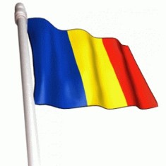 Steag Romania foto