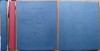 Ion Pillat, Gradina intre ziduri, Paris, 1919, Ed. Bibliofila, 137/200, Legatura Piele