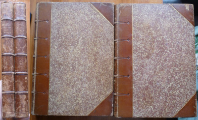 Capitalele lumii , Paris , 1892 , 2 volume , legat. piele , 592 pag. , ilustrata foto