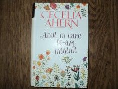 Anul in care te-am intalnit de CECELIA AHERN foto