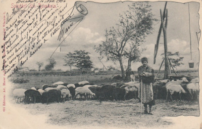 SALUTARI DIN ROMANIA CIOBAN MESERII CLASICA CIRCULATA 1904 foto