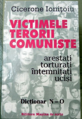 Victimele terorii comuniste Dictionar N-O foto