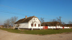 Vand Casa + Teren in Olari, jud. Arad foto