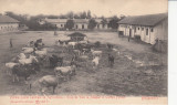 BUCURESTI FERMA SCOLEI CENTRALE DE AGRICULTURA CLASICA UPU, Necirculata, Printata