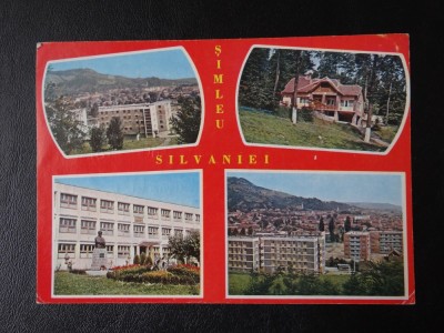 RPR - Simleul Silvanei - Bradet foto