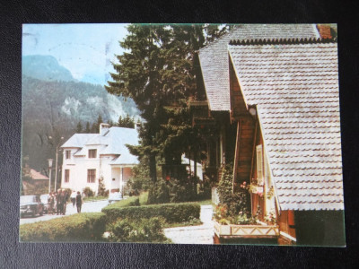 RPR - Sinaia - Vila cumpatului foto