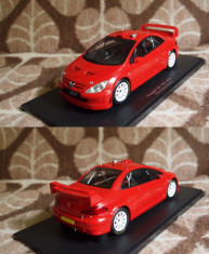 Peugeot 307 WRC 1/18 foto