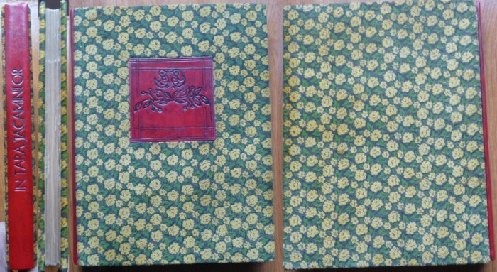 Margareta Barcianu, In tara Jacaminilor, Povesti din Amazon,1936, ex. 2 / 21
