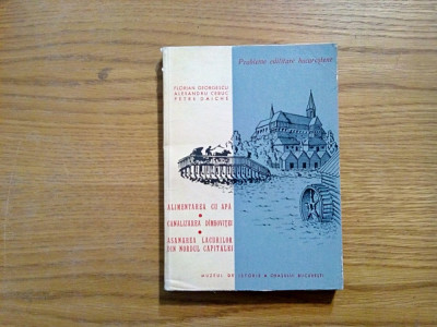 PROBLEME EDILITARE BUCURESTENE - Alimentare cu Apa - Canalizarea Dimbovitei foto
