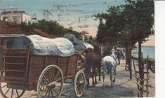 TUTRTUCAIA , ROMANIA NOUA , VEDERE DIN TURTUCAIA , CIRCULATA NOV. 1913 foto