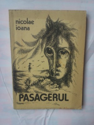 NICOLAE IOANA - PASAGERUL foto