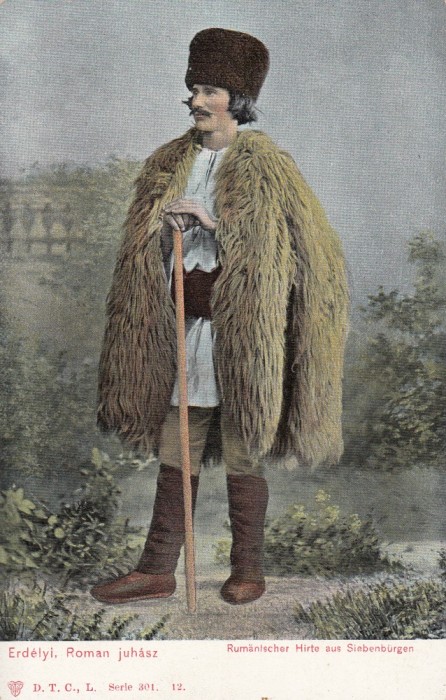 CIOBAN ROMAN DIN TRANSILVANIA