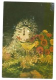 @carte postala(ilustrata) -FELICITARE