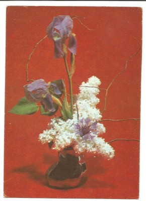 @carte postala(marca fixa) -FELICITARE foto