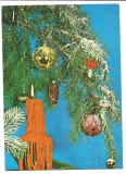 @carte postala(ilustrata) -FELICITARE