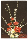 @carte postala(marca fixa) -FELICITARE