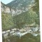 @carte postala(ilustrata) -BAILE HERCULANE -Vedere generala spre Domogled