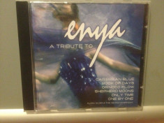 A TRIBUTE TO ENYA (2005 /DELTA REC /EU) - CD/ORIGINAL/ POP foto