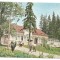 @carte postala(cod 3501/86) -Borsec Vedere