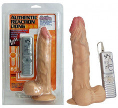 Authentic Vibrator foto