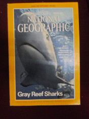 National Geographic (January, 1995) - 389129 foto