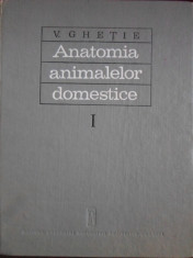 V. Ghetie - Anatomia animalelor domestice - 378930 foto