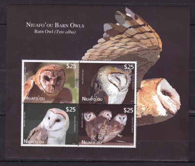 Niuafo&amp;#039;ou 2012 fauna pasari bufnite MI 479-482 kleib. MNH w27 foto