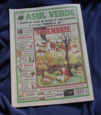 Revista Asul verde suplimet al revistei Formula As nr 77 / 2010 - 48 pag foto