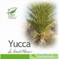 YUCCA 30CPS-Cortizon natural,Antialergice naturale foto
