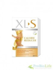 XL-S MEDICAL FAT BINDER 60cpr HIPOCRATE foto