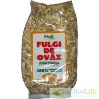 FULGI DE OVAZ 400gr SOLARIS(punga) foto