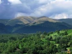 Teren la munte, Com Secaria, Jud Prahova foto