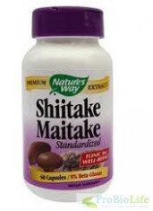 SHIITEKE MAITAKE 60CPS-Ciuperca medicinala foto