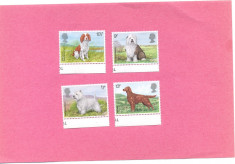 11=ANGLIA-Marea Britanie 1979-Serie de 4 timbre tematica CAINI,MNH foto