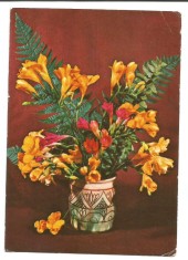 @carte postala(marca fixa) -FELICITARE