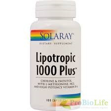 LIPOTROPIC 1000 PLUS 100CPS-CURA DE SLABIRE foto