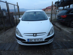 Peugeot 307 foto