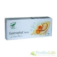 GASTROPHYT FORTE 30CPS-Helicobacter pylori foto