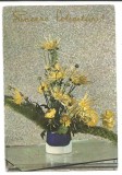 @carte postala(N.N.I.339/83) -FELICITARE