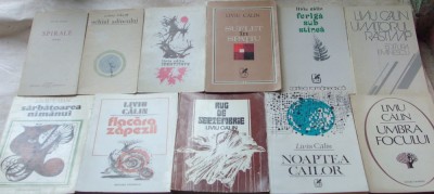 LIVIU CALIN:OPERA POETICA ANTUMA COMPLETA/LOT 11 VOL. IN EDITIE PRINCEPS,1965-86 foto