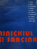 Rinichiul si sarcina - C. Zosin , N. Barbu , St. Chiovschi , ...