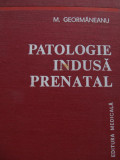 Patologie indusa prenatal - M. Geormaneanu