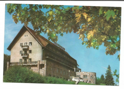 @carte postala(ilustrata) -BRASOV-Predeal Hotel Rozmarin foto