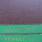 Nefrologie pediatrica - Nefrologie pediatrica
