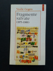 FRAGMENTE SALVATE 1975-1989 Vasile Gogea foto