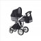 Carucior 2 in 1 Teo Black Roan